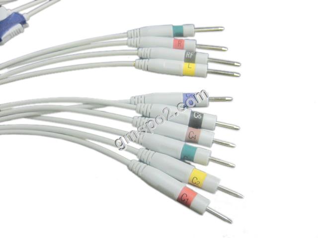 3.0 ডিএন পি-পি-জি-। জেজিপি