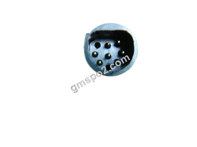 ওহেমা পিন্স- .jpg