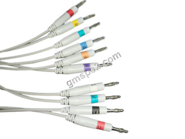 ই.কে.জি বনান আভা লিডউইর-। জেজিপি