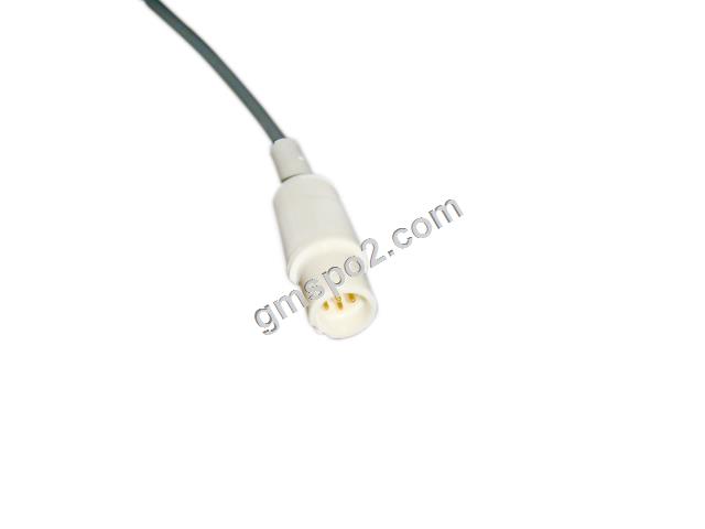 সিমস টেপ 7 পিআই-। জেজিপি