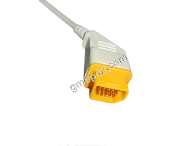 নিহন কোহেডান ibp-.jpg