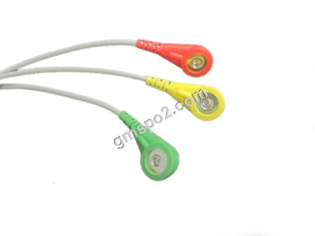 3-সীসা আইজিসি স্ন্যাপ- .jpg