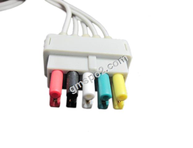 5-নেতৃত্বাধীন নেতৃত্বের জোয়াল- .jpg