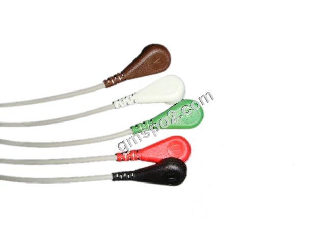 5-সীসা আহার স্ন্যাপ- .jpg