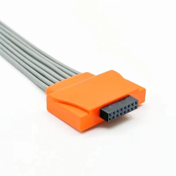 Cardioline Compatible ECG Holter Lead Wires